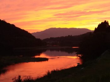 今年も残り1ヶ月ですね