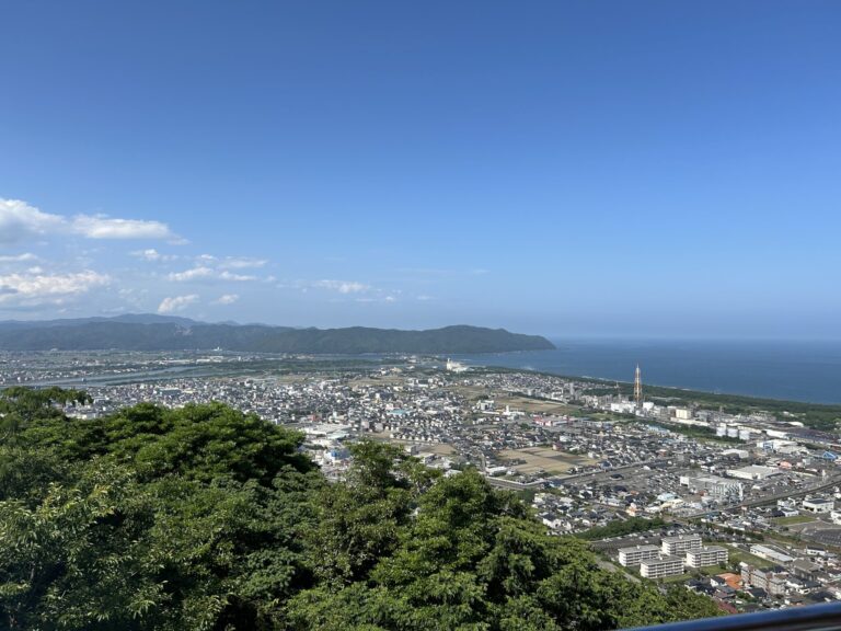 アニメに登場
