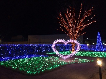 2014122011.jpg