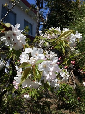 年度末最終日