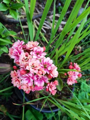 2015040610.jpg